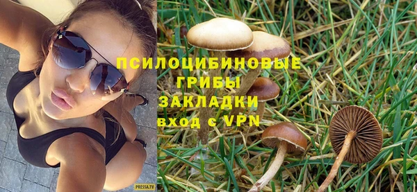 ПСИЛОЦИБИНОВЫЕ ГРИБЫ Алзамай
