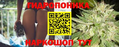 дживик Новокубанск