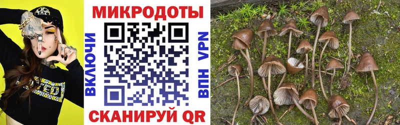 blacksprut зеркало Обнинск Галлюциногенные грибы прущие грибы