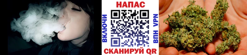 Конопля планчик  Обнинск 